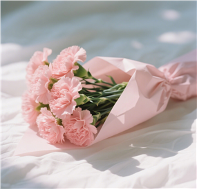 一束娇艳欲滴的粉色康乃馨图片